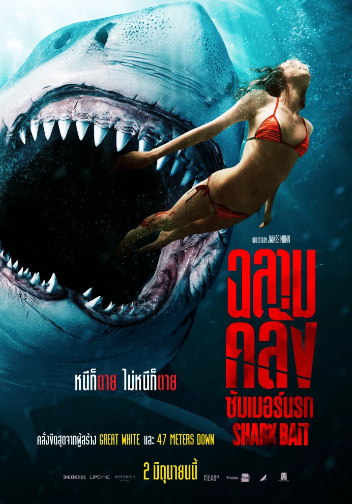 ดูหนังออนไลน์ฟรี Shark Bait (2022) ฉลามคลั่งซัมเมอร์นรก