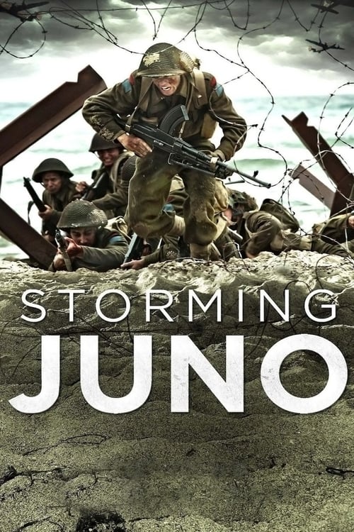 ดูหนังออนไลน์ฟรี Storming Juno (2010) หน่วยจู่โจมสลาตัน