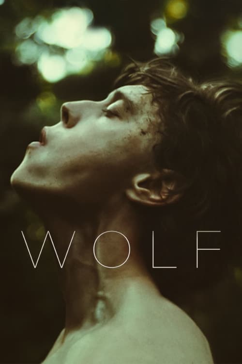 ดูหนังออนไลน์ฟรี Wolf (2021)