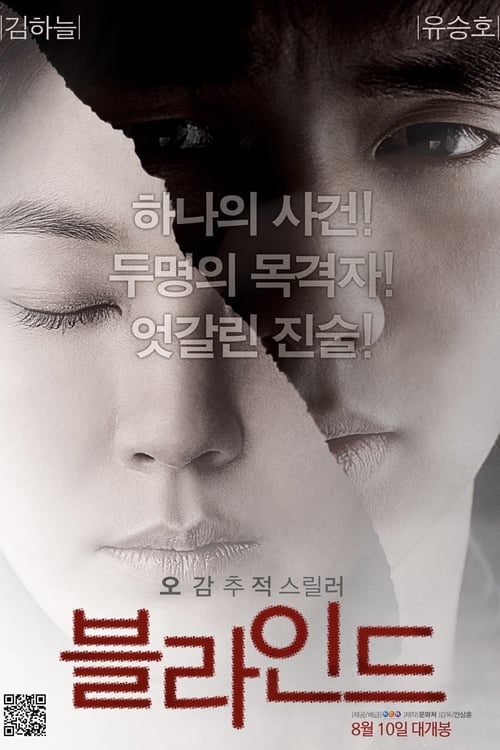 ดูหนังออนไลน์ฟรี Blind (2011) พยานมืด ปมมรณะ