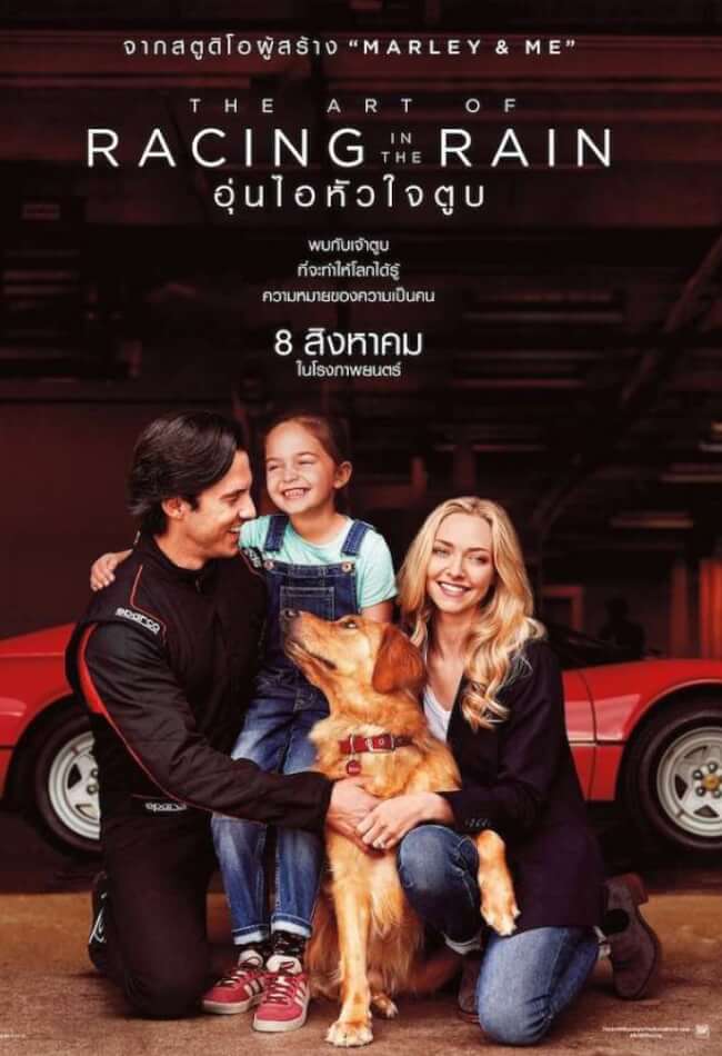 ดูหนังออนไลน์ฟรี The Art of Racing in the Rain (2019) อุ่นไอหัวใจตูบ