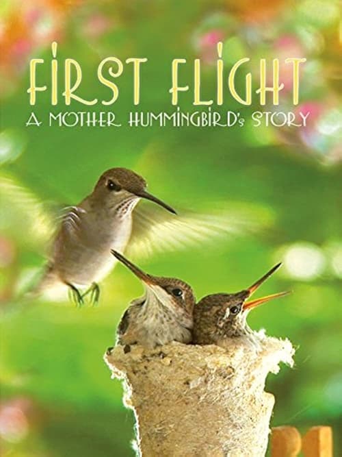 ดูหนังออนไลน์ฟรี First Flight A Mother Hummingbirds Story (2009)