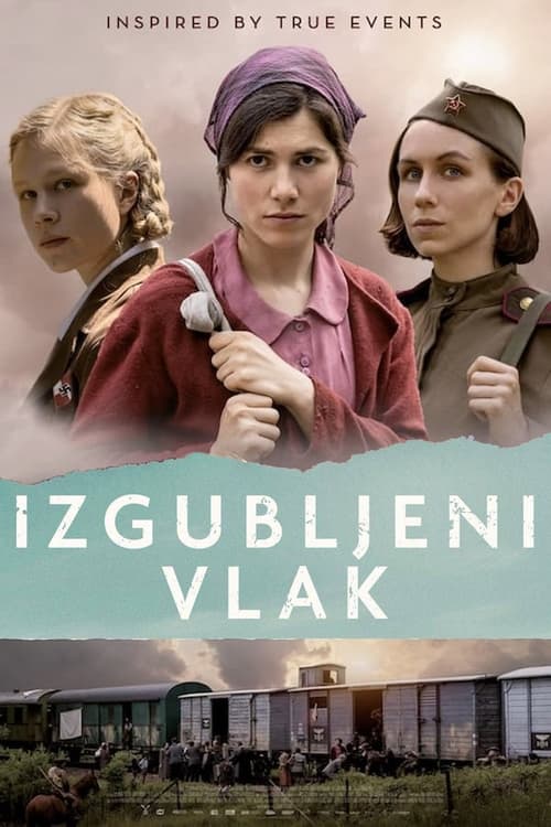ดูหนังออนไลน์ฟรี Lost Transport (2022)