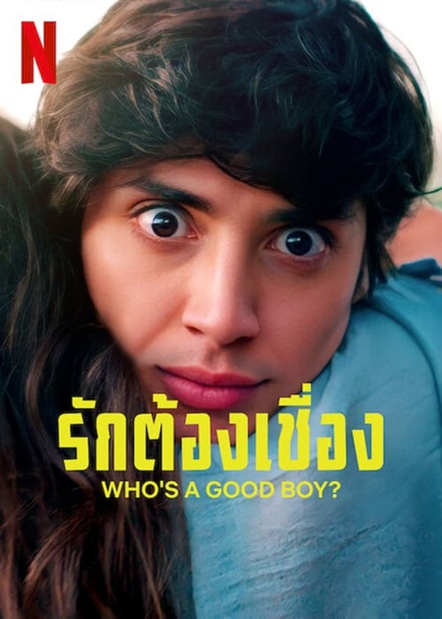 ดูหนังออนไลน์ฟรี WHO S A GOOD BOY (2022) รักต้องเชื่อง