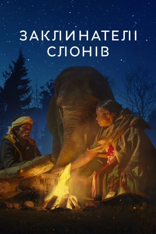 ดูหนังออนไลน์ฟรี The Elephant Whisperers (2022) คนกล่อมช้าง