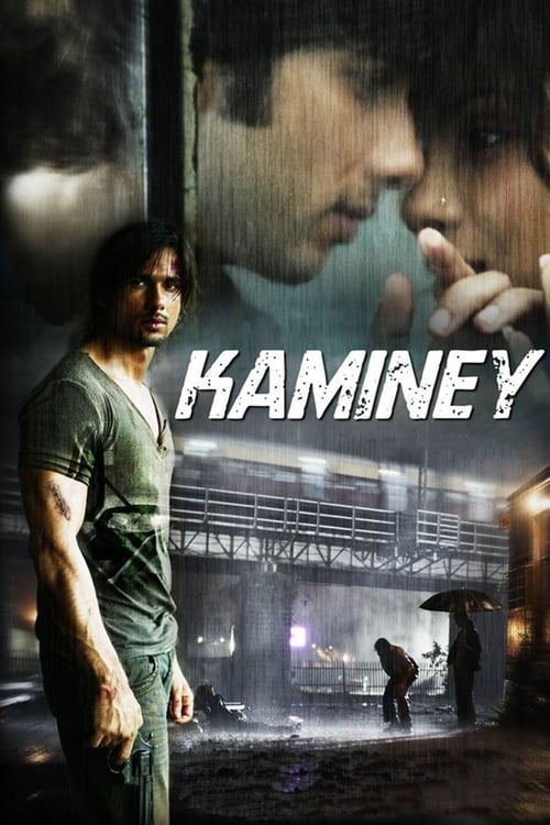 ดูหนังออนไลน์ฟรี Kaminey (2009) แผนดัดหลังคำสั่งฆ่า