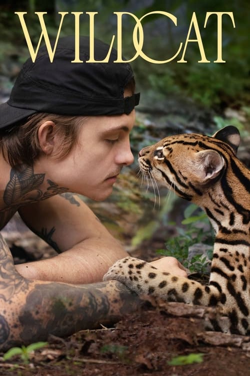 ดูหนังออนไลน์ฟรี Wildcat (2022) ไวลด์แคต