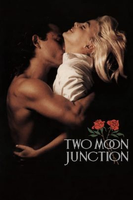 ดูหนังออนไลน์ฟรี Two Moon Junction (1988) จะต้องลองรักสักกี่ครั้ง