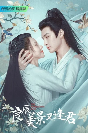 ดูหนังออนไลน์ฟรี The Everlasting Love (2023) ดั่งดวงใจรักนิรันดร์ EP.1-24 (จบ)