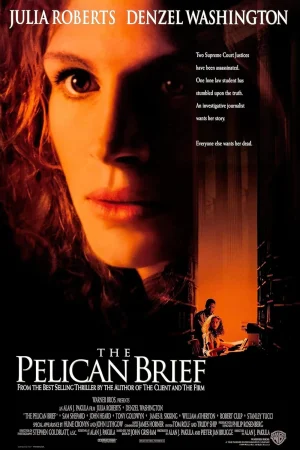 ดูหนังออนไลน์ฟรี THE PELICAN BRIEF (1993) ผู้หญิงเสี้ยวมรณะ