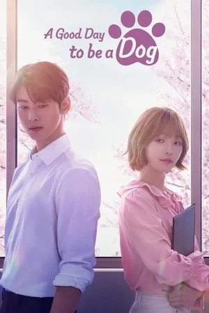 ดูหนังออนไลน์ฟรี A Good Day To Be A Dog (2023) EP.1-14 (จบ)