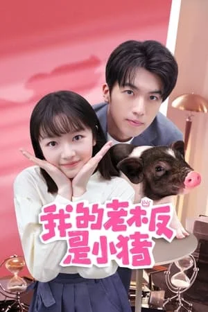 ดูหนังออนไลน์ฟรี My Piggy Boss (2024) หัวหน้าฉันเป็นหมูน้อย EP.1-12 (จบ)