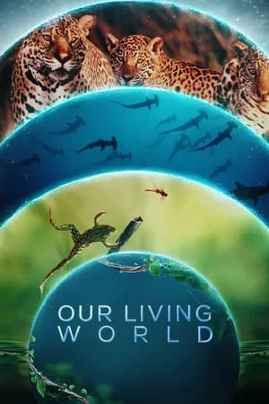 ดูหนังออนไลน์ฟรี Our Living World (2024) โลกที่เราอยู่ EP.1-4 (จบ)
